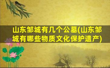 山东邹城有几个公墓(山东邹城有哪些物质文化保护遗产)