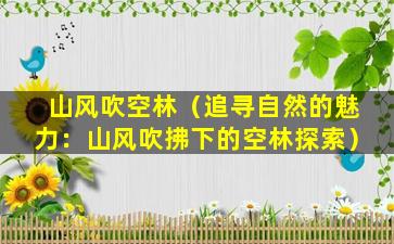 山风吹空林（追寻自然的魅力：山风吹拂下的空林探索）