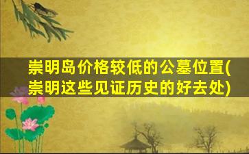 崇明岛价格较低的公墓位置(崇明这些见证历史的好去处)
