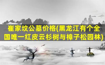 崔家坟公墓价格(黑龙江有个全国唯一红皮云杉树与樟子松园林)