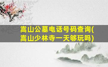 嵩山公墓电话号码查询(嵩山少林寺一天够玩吗)