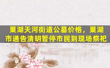 巢湖天河街道公墓价格，巢湖市通告清明暂停市民到现场祭祀