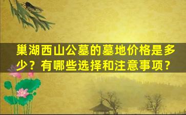 巢湖西山公墓的墓地价格是多少？有哪些选择和注意事项？