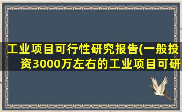工业项目可行性研究报告(一般投资3000万左右的工业项目可研报告费用是多少)