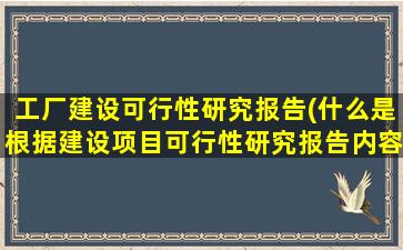 工厂建设可行性研究报告(什么是根据建设项目可行性研究报告内容分析和决策)