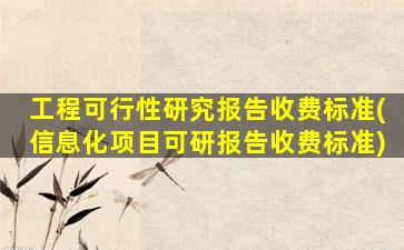 工程可行性研究报告收费标准(信息化项目可研报告收费标准)