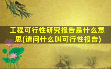 工程可行性研究报告是什么意思(请问什么叫可行性报告)