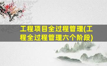 工程项目全过程管理(工程全过程管理六个阶段)