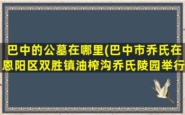 巴中的公墓在哪里(巴中市乔氏在恩阳区双胜镇油榨沟乔氏陵园举行扫墓)