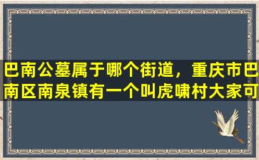 巴南公墓属于哪个街道，重庆市巴南区南泉镇有一个叫虎啸村大家可知道