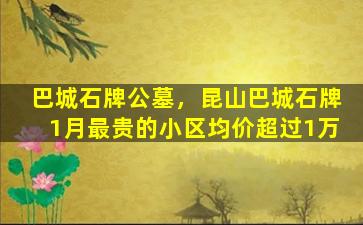 巴城石牌公墓，昆山巴城石牌1月最贵的小区均价超过1万