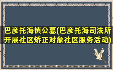 巴彦托海镇公墓(巴彦托海司法所开展社区矫正对象社区服务活动)
