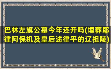 巴林左旗公墓今年还开吗(埋葬耶律阿保机及皇后述律平的辽祖陵)