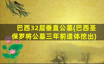 巴西32层垂直公墓(巴西圣保罗将公墓三年前遗体挖出)