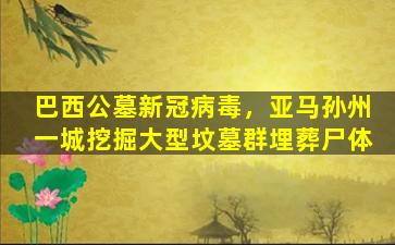 巴西公墓新冠病毒，亚马孙州一城挖掘大型坟墓群埋葬尸体