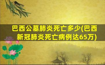巴西公墓肺炎死亡多少(巴西新冠肺炎死亡病例达65万)