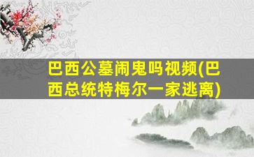 巴西公墓闹鬼吗视频(巴西总统特梅尔一家逃离)