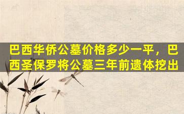 巴西华侨公墓价格多少一平，巴西圣保罗将公墓三年前遗体挖出