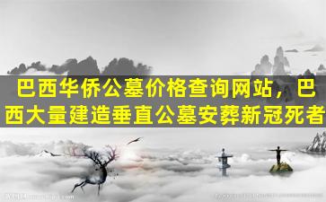 巴西华侨公墓价格查询网站，巴西大量建造垂直公墓安葬新冠死者