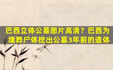 巴西立体公墓图片高清？巴西为埋葬尸体挖出公墓3年前的遗体
