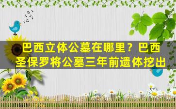 巴西立体公墓在哪里？巴西圣保罗将公墓三年前遗体挖出