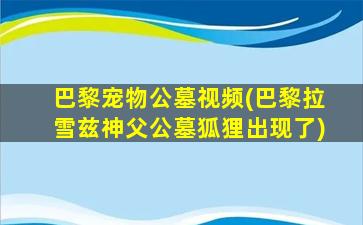 巴黎宠物公墓视频(巴黎拉雪兹神父公墓狐狸出现了)