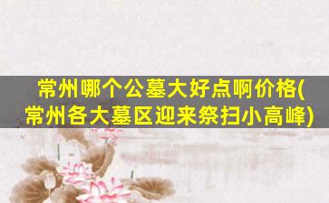 常州哪个公墓大好点啊价格(常州各大墓区迎来祭扫小高峰)