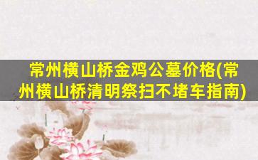 常州横山桥金鸡公墓价格(常州横山桥清明祭扫不堵车指南)