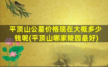 平顶山公墓价格现在大概多少钱呢(平顶山哪家陵园最好)