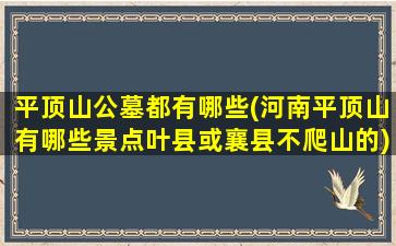 平顶山公墓都有哪些(河南平顶山有哪些景点叶县或襄县不爬山的)