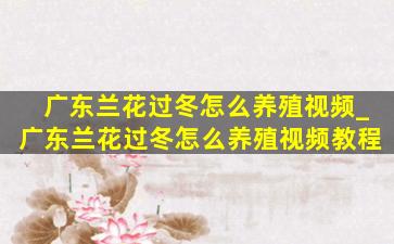 广东兰花过冬怎么养殖视频_广东兰花过冬怎么养殖视频教程