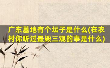广东墓地有个坛子是什么(在农村你听过最毁三观的事是什么)