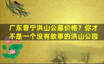 广东普宁洪山公墓价格？你才不是一个没有故事的洪山公园