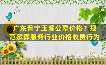 广东普宁玉溪公墓价格？规范殡葬服务行业价格收费行为