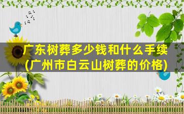 广东树葬多少钱和什么手续(广州市白云山树葬的价格)