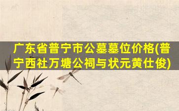 广东省普宁市公墓墓位价格(普宁西社万塘公祠与状元黄仕俊)