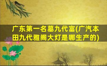 广东第一名墓九代富(广汽本田九代雅阁大灯是哪生产的)