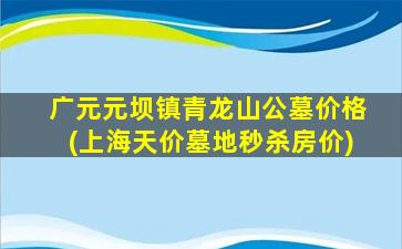 广元元坝镇青龙山公墓价格(上海天价墓地秒杀房价)