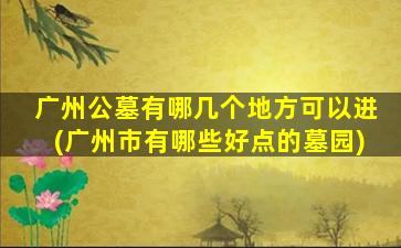 广州公墓有哪几个地方可以进(广州市有哪些好点的墓园)
