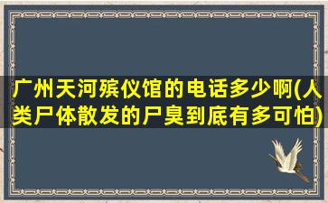 广州天河殡仪馆的电话多少啊(人类尸体散发的尸臭到底有多可怕)