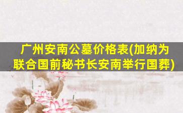 广州安南公墓价格表(加纳为联合国前秘书长安南举行国葬)
