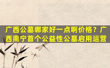 广西公墓哪家好一点啊价格？广西南宁首个公益性公墓启用运营