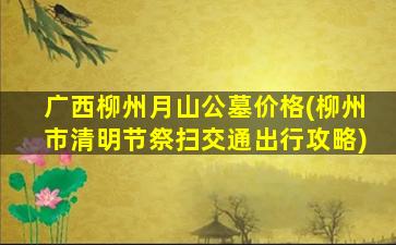 广西柳州月山公墓价格(柳州市清明节祭扫交通出行攻略)