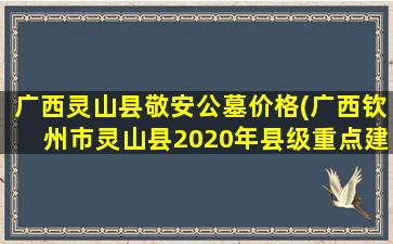 广西灵山县敬安公墓价格(广西钦州市灵山县2020年县级重点建设项目清单)