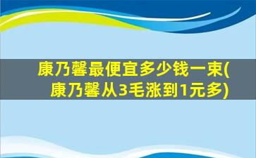 康乃馨最便宜多少钱一束(康乃馨从3毛涨到1元多)