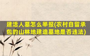 建活人墓怎么举报(农村自留承包的山林地建造墓地是否违法)