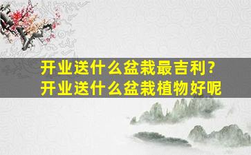 开业送什么盆栽最吉利？开业送什么盆栽植物好呢