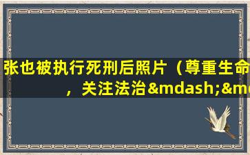 张也被执行死刑后照片（尊重生命，关注法治——还原张被执行死刑后真实照片）