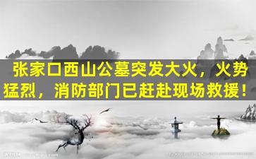 张家口西山公墓突发大火，火势猛烈，消防部门已赶赴现场救援！