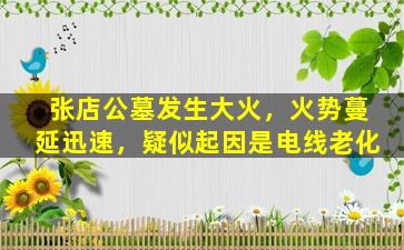 张店公墓发生大火，火势蔓延迅速，疑似起因是电线老化
